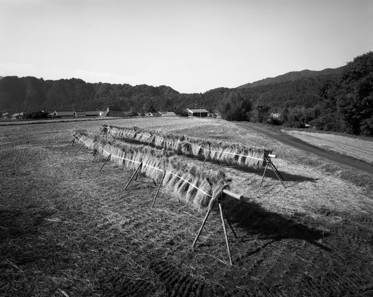 村の記憶 はざかけ 伊賀市大山田町